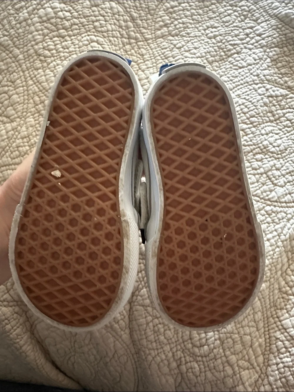 Kids Vans White Elephant Slip-On Shoes with Blue Butterfly Ears